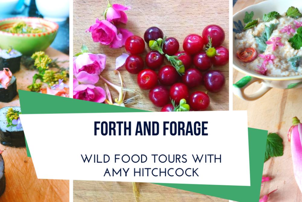 FORTH AND FORAGE