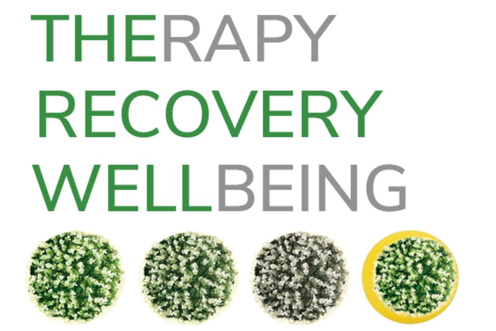 THE RECOVERY WELL
